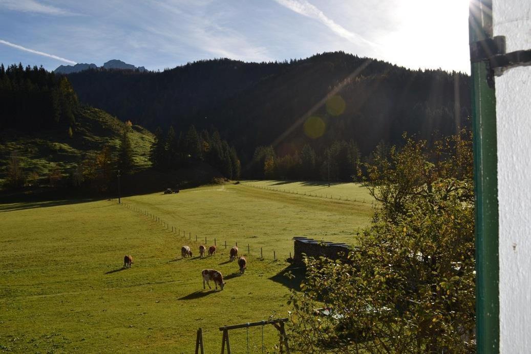 Ferienwohnungen Foidlhof Hochfilzen Exterior foto